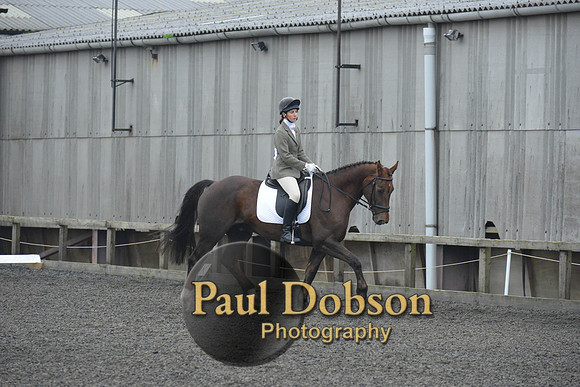 dressage-4875