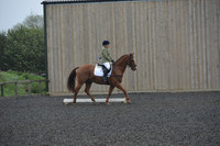 dressage-6292
