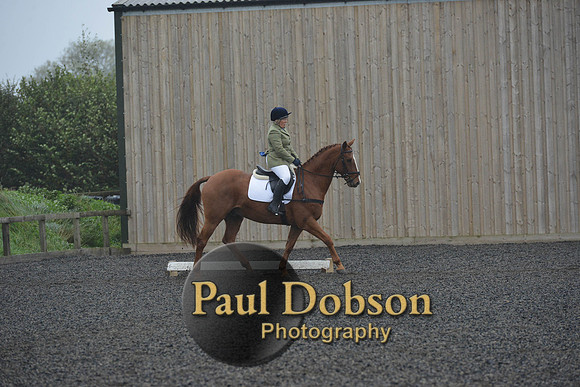 dressage-6292