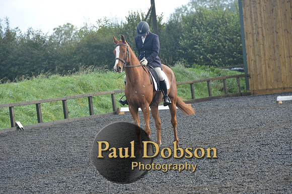 dressage-6804