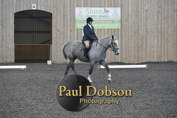 dressage-4901