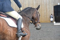 dressage-7253