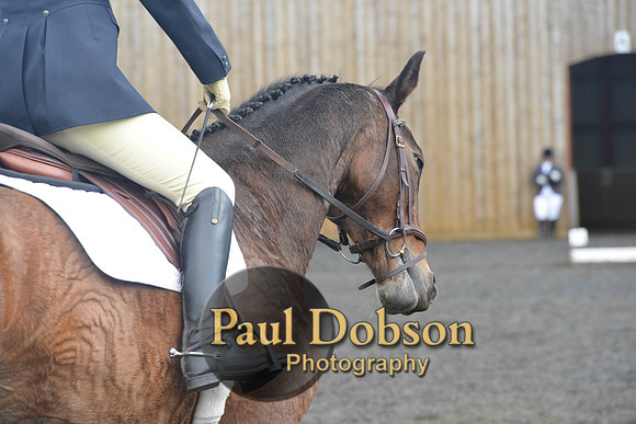 dressage-7253