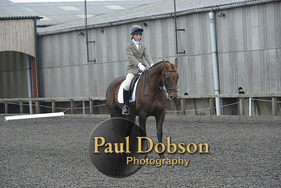 dressage-4893
