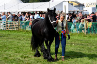 GRP_8023
