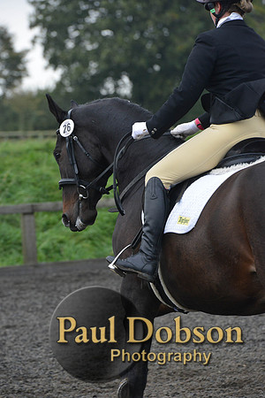 dressage-5172