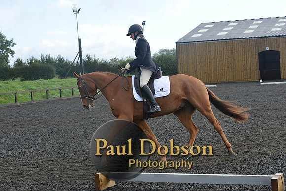 dressage-6799