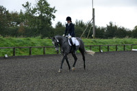 dressage-4106
