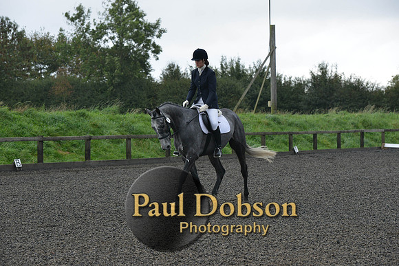 dressage-4106