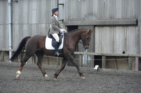 dressage-4872