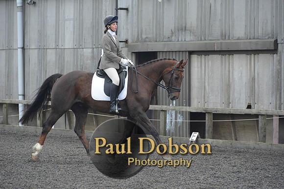 dressage-4872