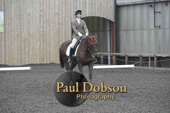 dressage-4891