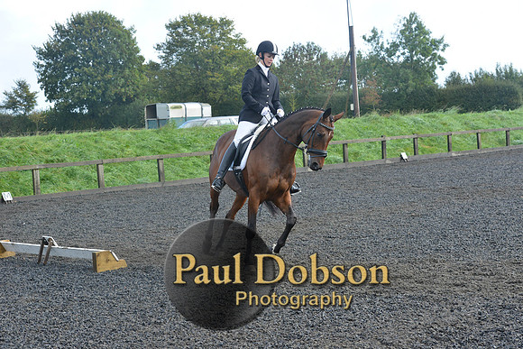 dressage-6811