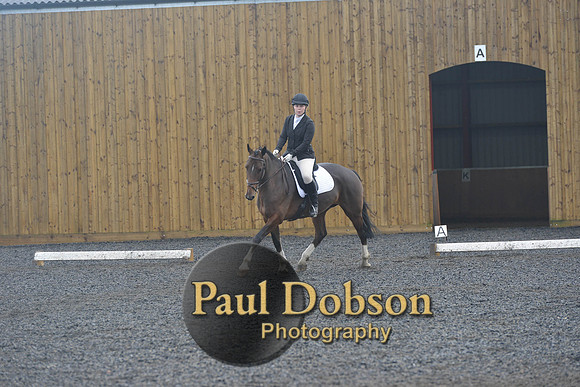dressage-6746