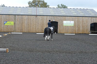 dressage-7241