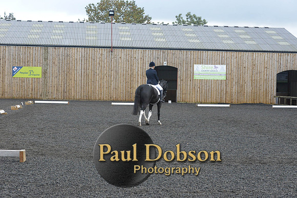 dressage-7241
