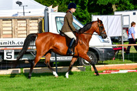 c48_0985