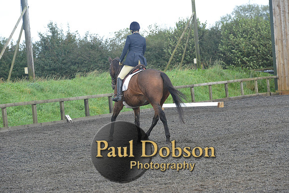dressage-7258
