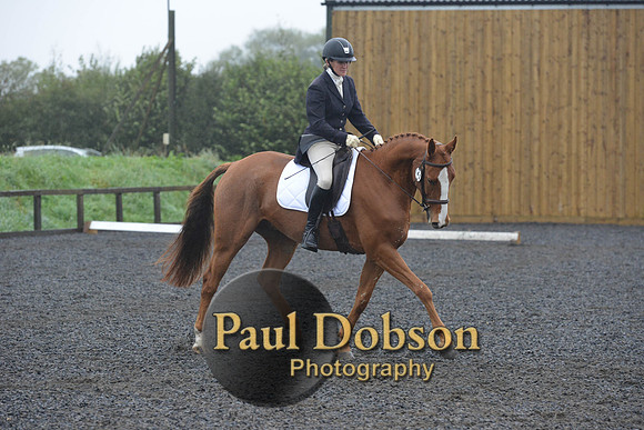 dressage-6625