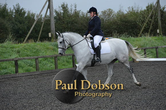 dressage-5963