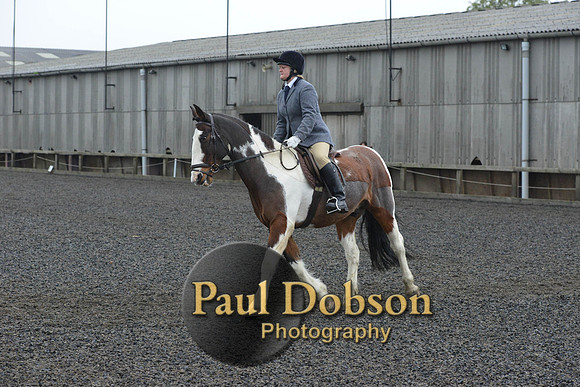 dressage-6317