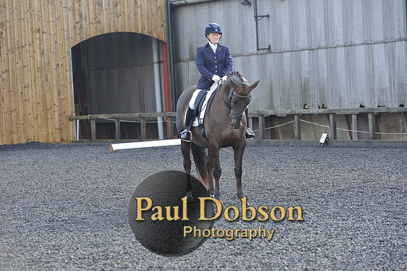 dressage-6855