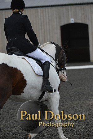 dressage-5935