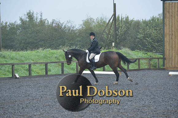 dressage-6456