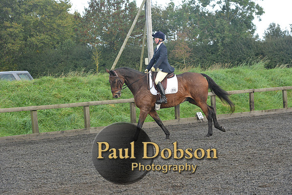 dressage-7292
