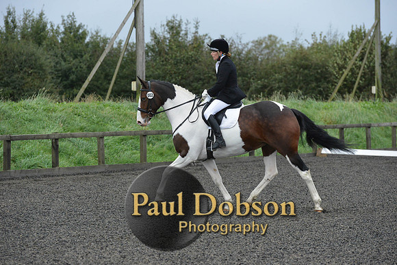 dressage-5936