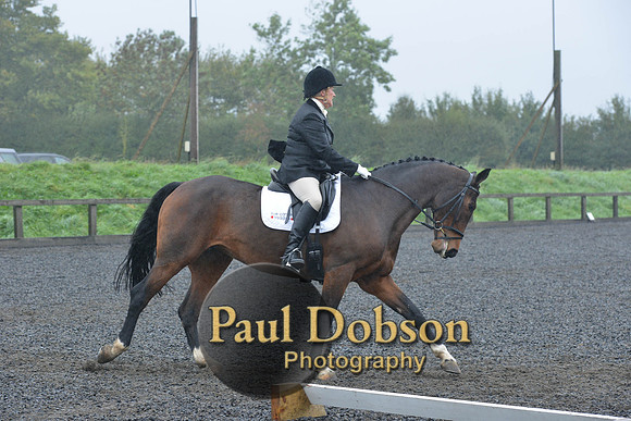 dressage-6455