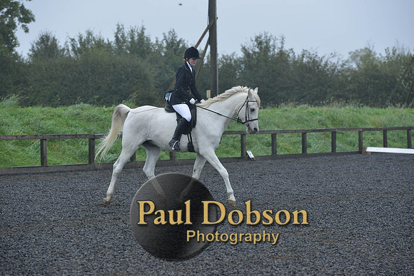 dressage-6476