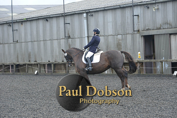 dressage-6893