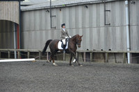 dressage-4878