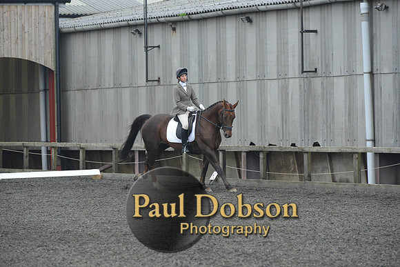 dressage-4878