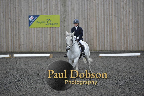 dressage-5980