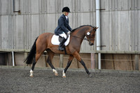 dressage-4110