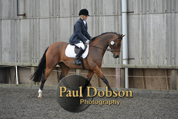 dressage-4110