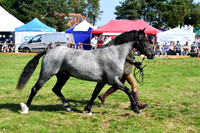 c11_1296