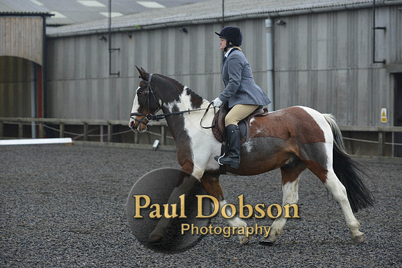 dressage-6322
