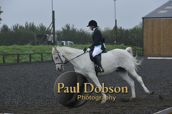 dressage-6488