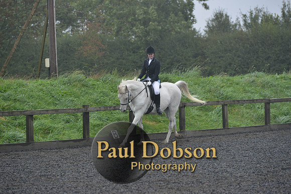 dressage-6496