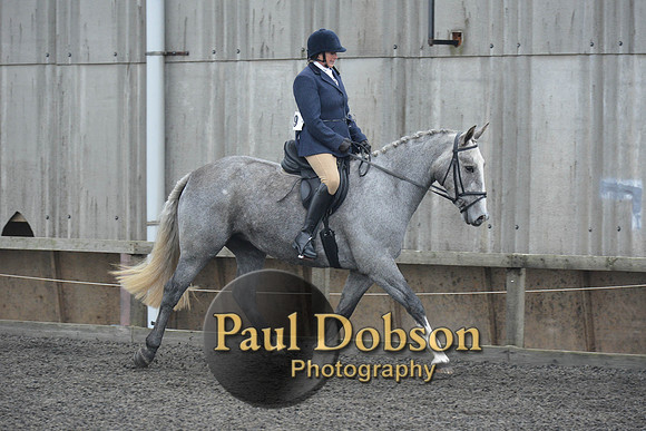 dressage-4903