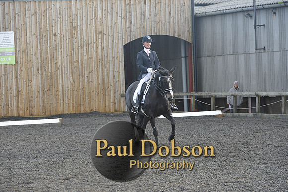 dressage-7304