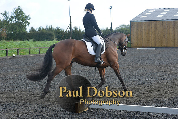 dressage-6812