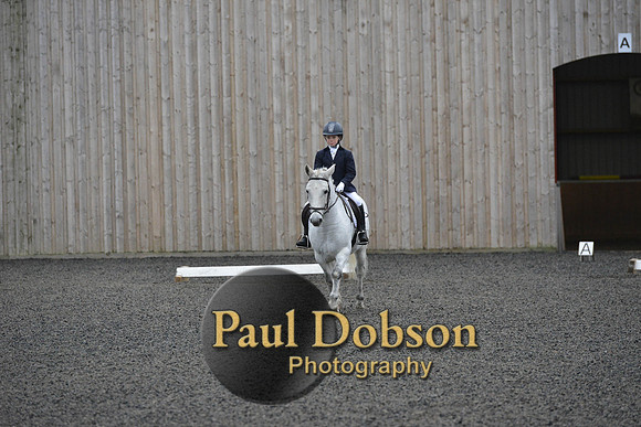 dressage-5978