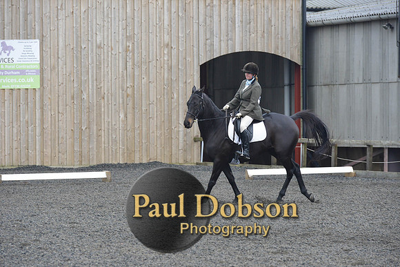 dressage-5473
