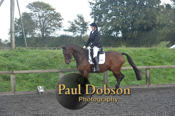 dressage-7322