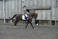 dressage-4882