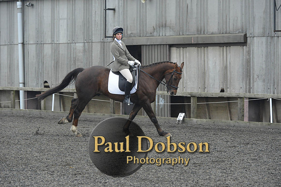 dressage-4882